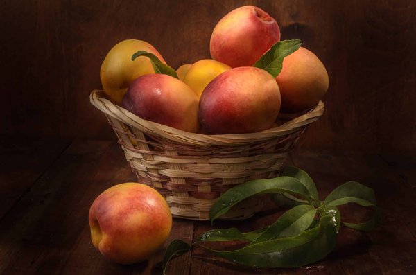 Les secrets pour prolonger la durée de vie de vos baskets : entretien et prévention